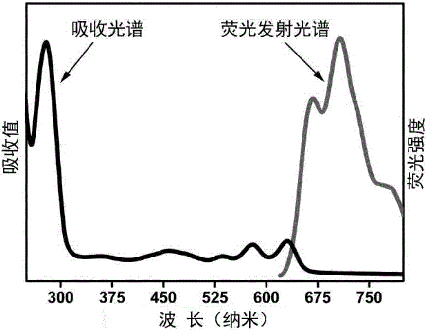 Orange light and infrared emission polymer carbon nanodot and preparation method thereof