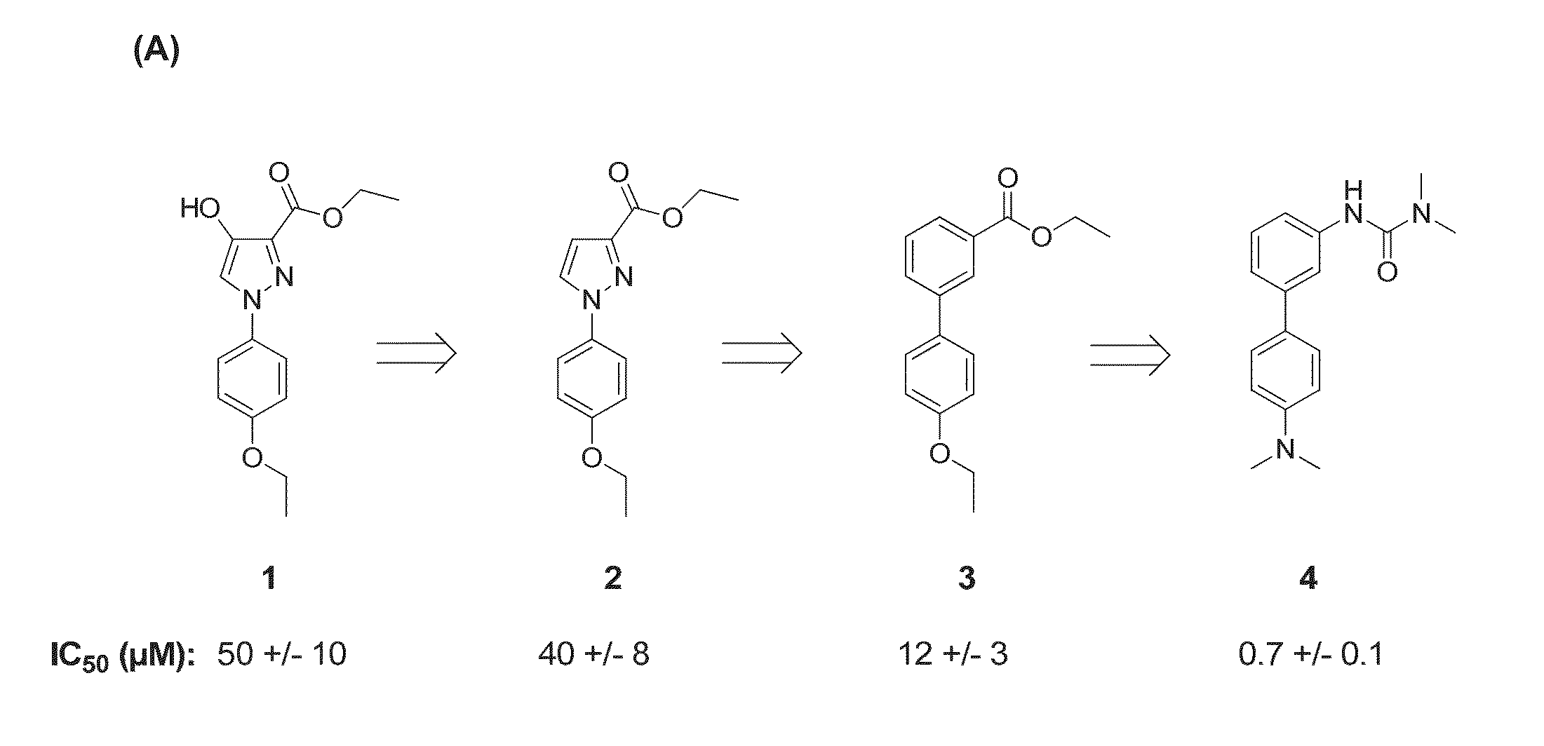 Lipase inhibitors