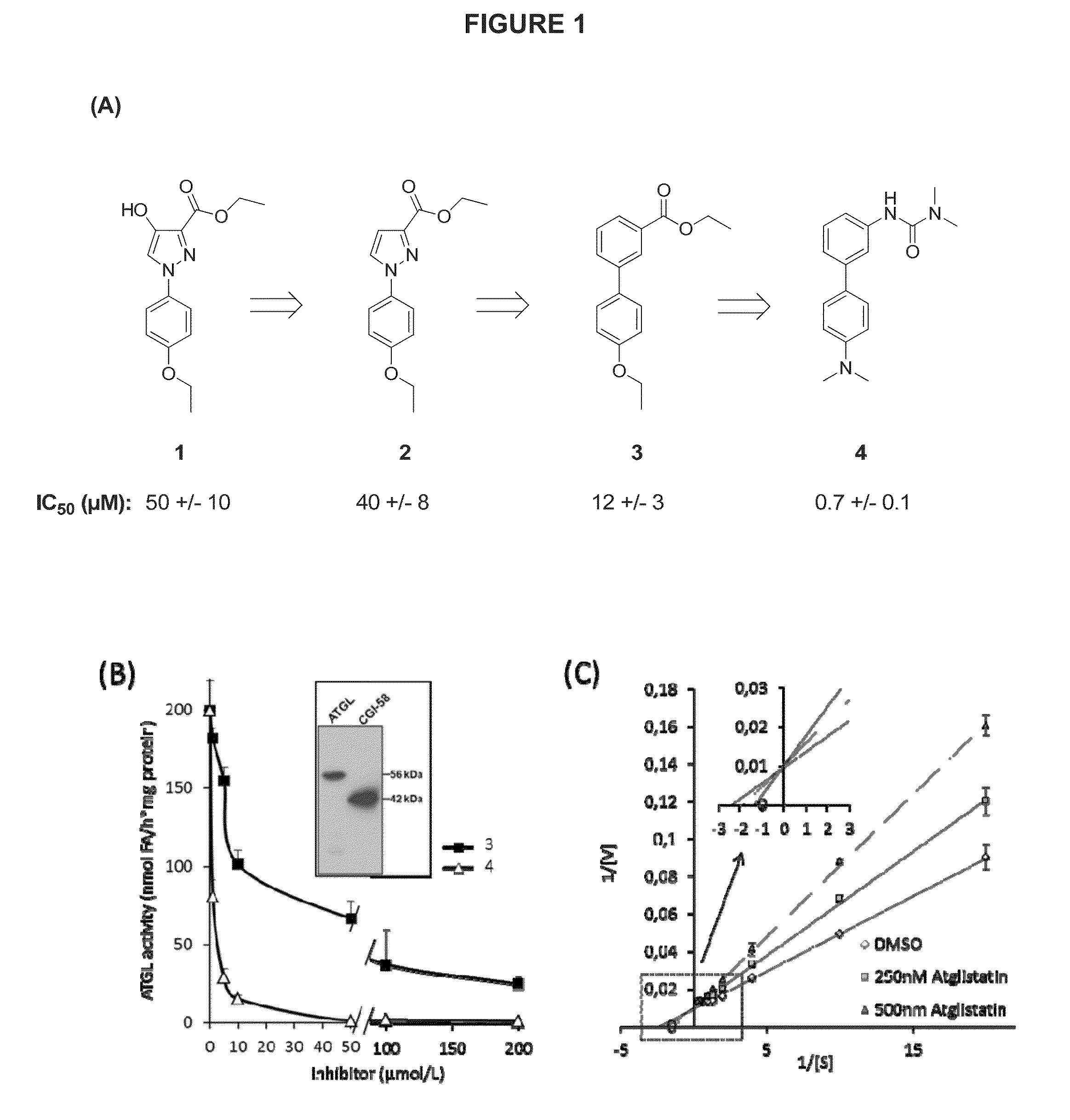 Lipase inhibitors