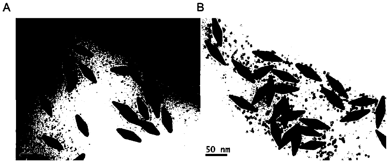 Targeted gold nano-cone composite material used for photothermal therapy, and preparation method and applications thereof