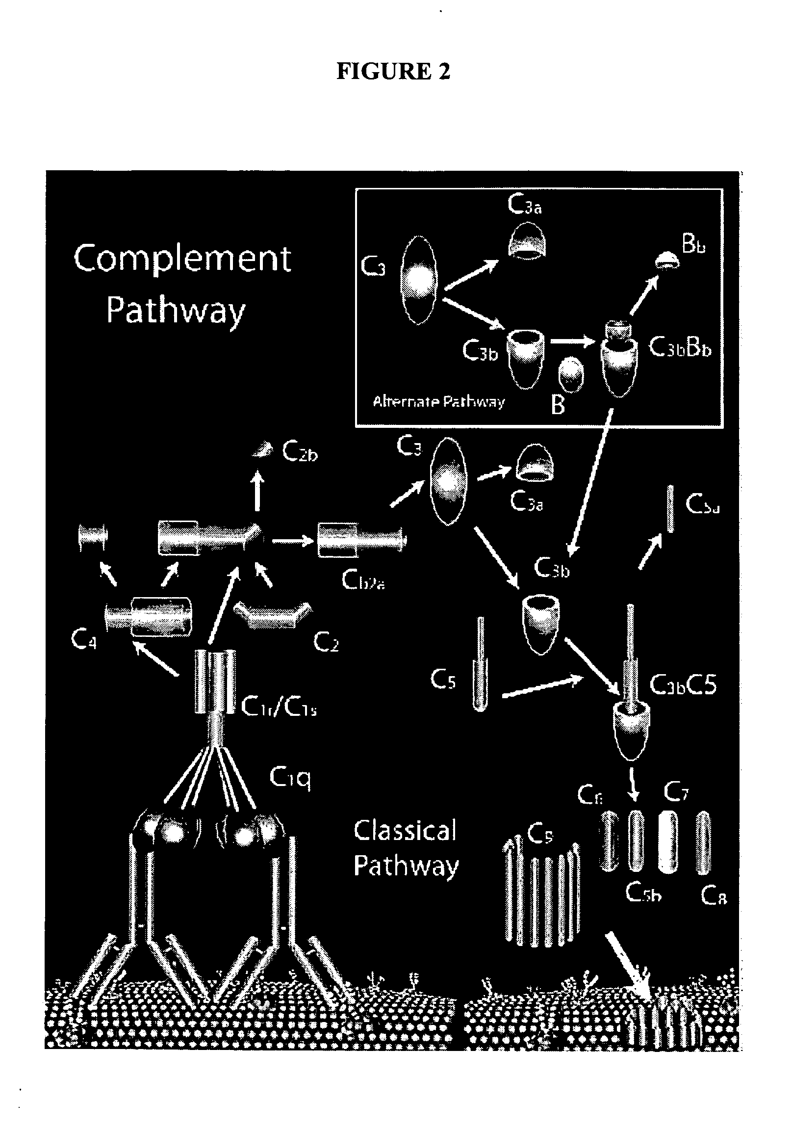 Methods and compositions for altering cell function