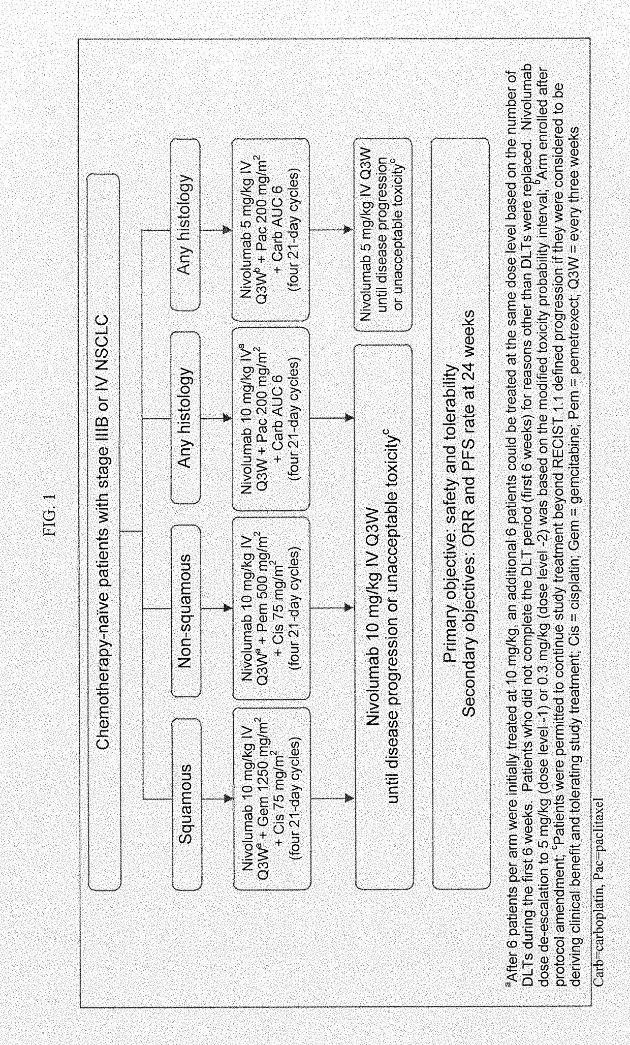 Treatment of lung cancer using a combination of an Anti-pd-1 antibody and another Anti-cancer agent