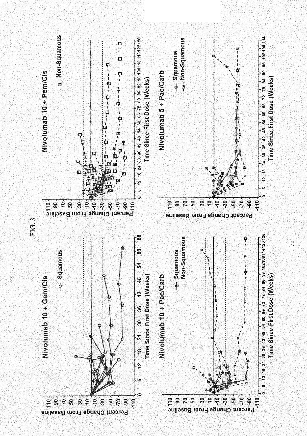 Treatment of lung cancer using a combination of an Anti-pd-1 antibody and another Anti-cancer agent