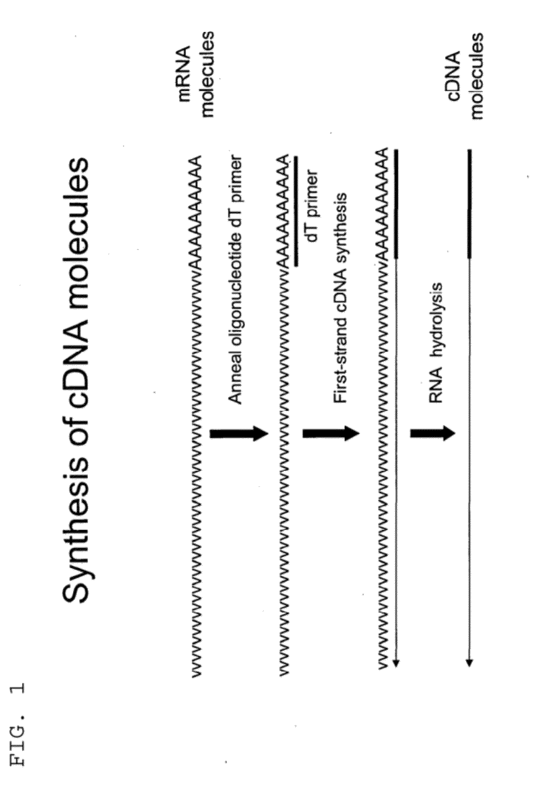 Selective terminal tagging of nucleic acids