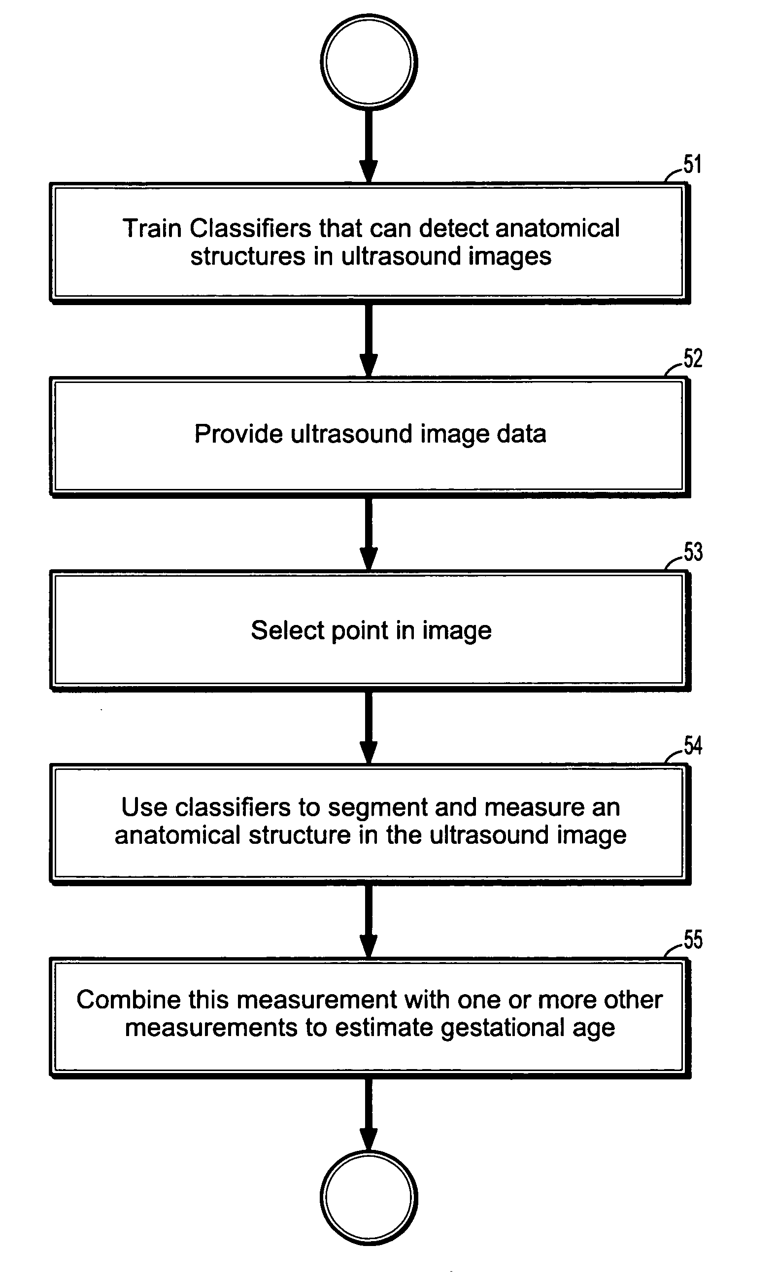 System and method for fetal biometric measurements from ultrasound data and fusion of same for estimation of fetal gestational age