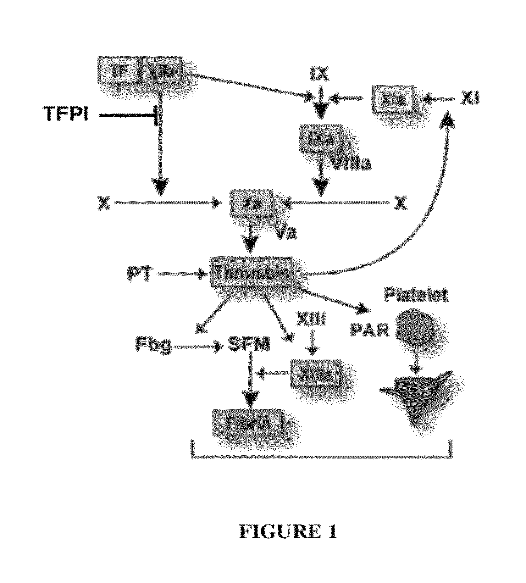 TFPI inhibitors and methods of use