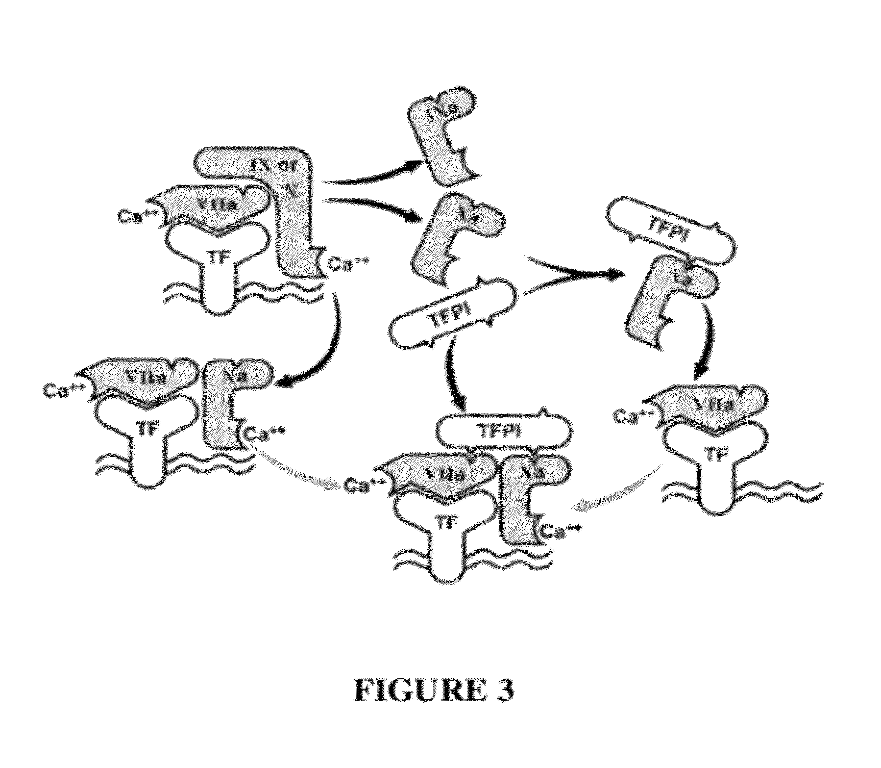 TFPI inhibitors and methods of use