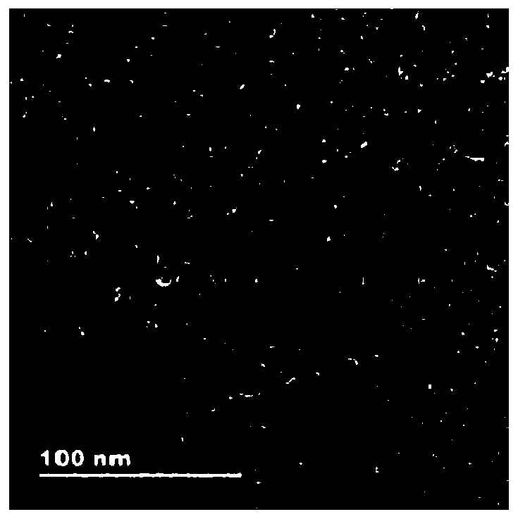 Preparation method of multistage porous Rh nanosheet