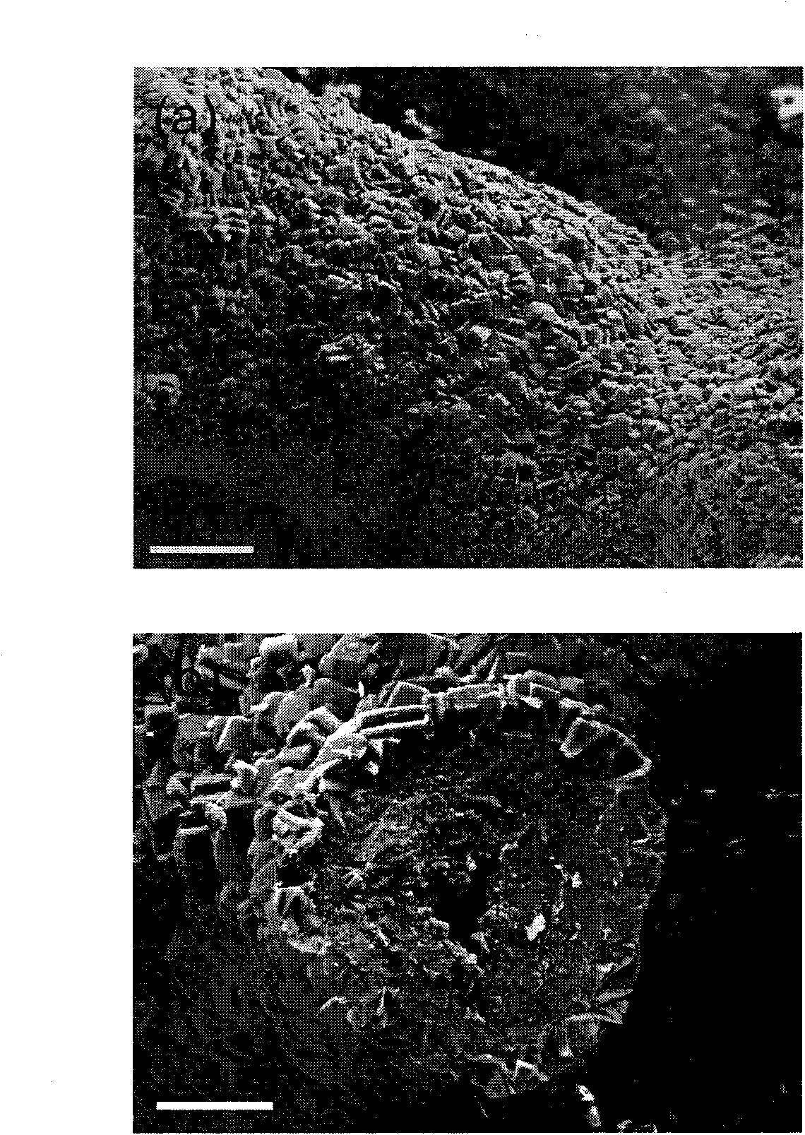 Preparation method for molecular sieve coating material on porous silicon carbide ceramic surface