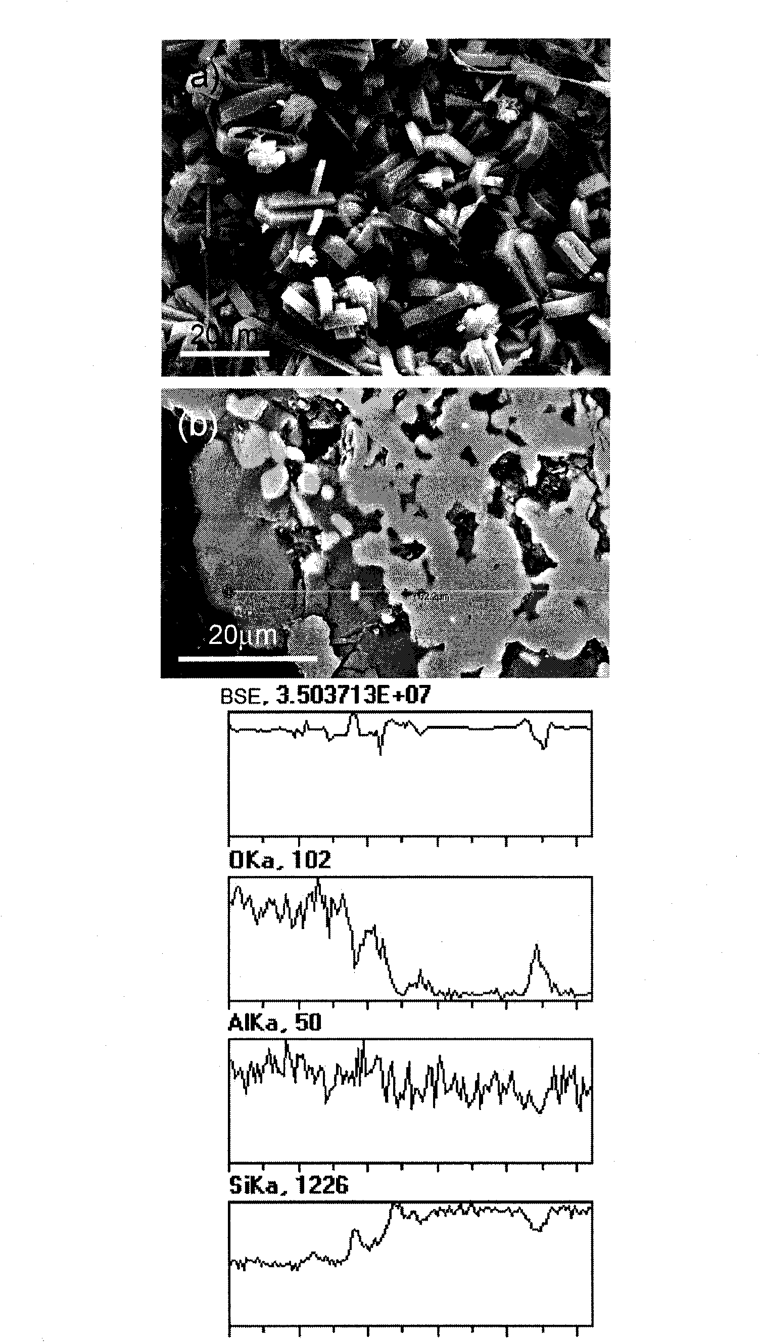 Preparation method for molecular sieve coating material on porous silicon carbide ceramic surface