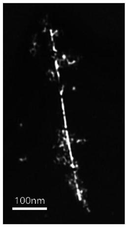 Synthesis and optical manipulation of multi-branched plasmonic waveguide composite nanostructures