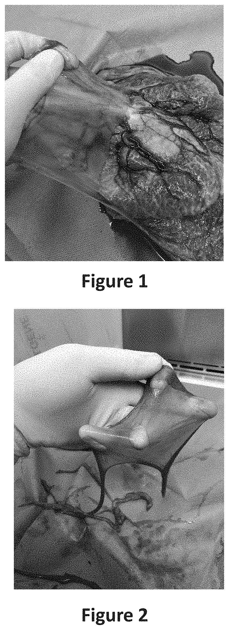 Process for obtaining a functional dermal substitute of decellurized amniotic membrane from the placenta combination with keratinocytes and its use as an agent for tissue regeneration of the skin