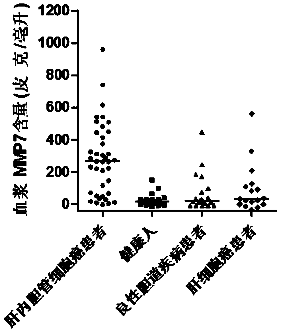 Application of MMP7, CTSE or LAMC2 protein in preparation of diagnosis reagent for intrahepatic cholangiocarcinoma