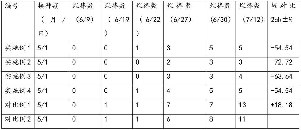 Plant essential oil insect repellant for edible mushrooms and preparation method of plant essential oil insect repellant