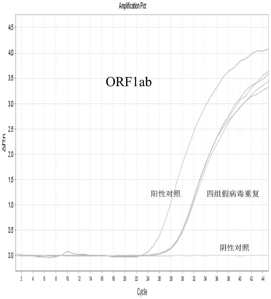 Novel coronavirus 2019-nCoV real-time fluorescent PCR detection primer and probe, kit and method