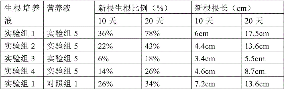 Orchid cultivating method