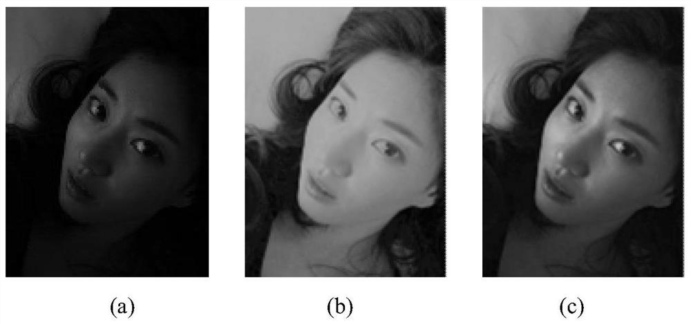 Image processing method based on adaptive plip model