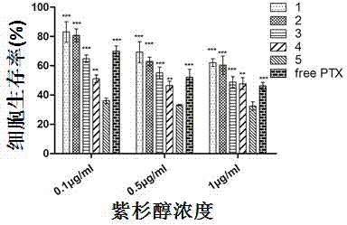 Double receptor identified serial cell-penetrating peptide modified tumor targeted nano drug delivery system