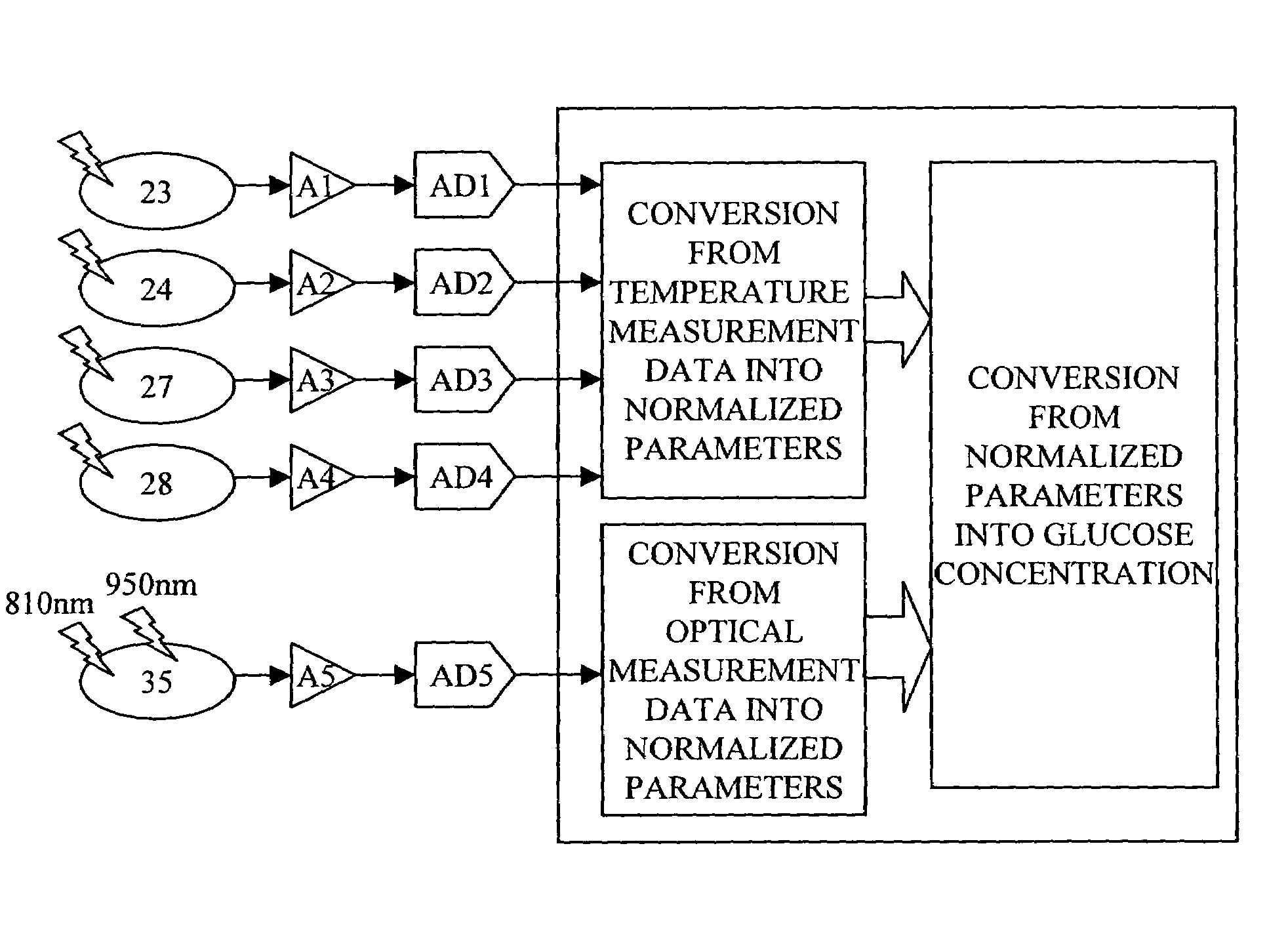 Blood sugar level measuring apparatus