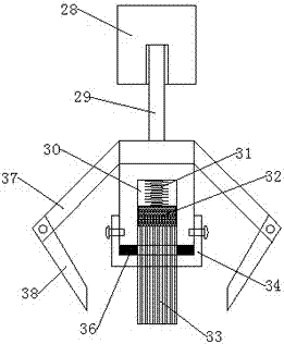 Automatic brush washer with bamboo strips clamped with soft sheets and in eccentric rotation