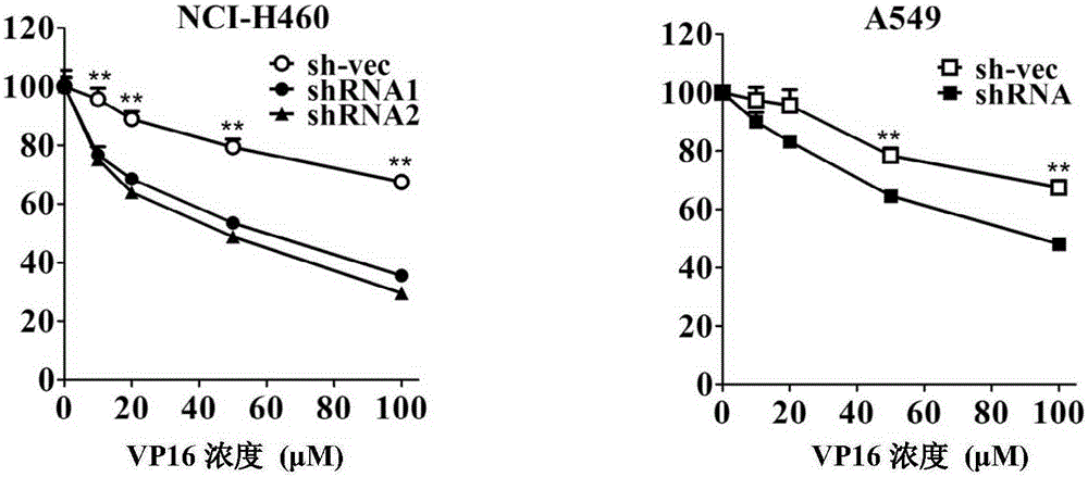 Application of CABYR-a/b to promotion of sensibility of cancer cells to VP16 and TRAIL