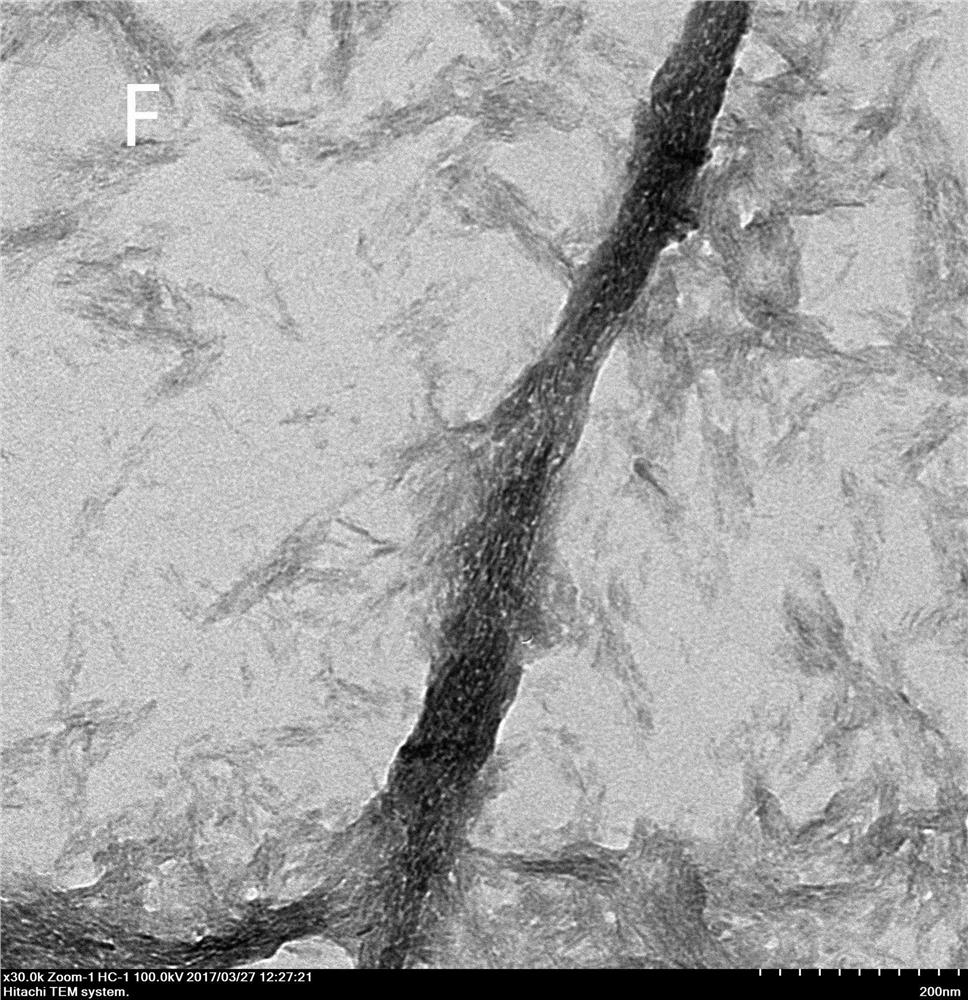 Preparation method of biomimetic mineralized collagen membrane in fibers that can promote osteogenic differentiation of cells