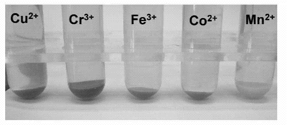 Kapok fiber adsorbent, preparation method and application thereof