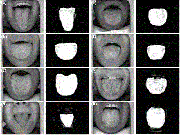 Tongue image segmentation method based on sparse representation