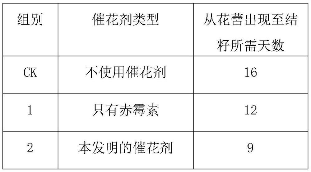 A control method for the production of selenium-enriched Moringa seeds in Guangxi