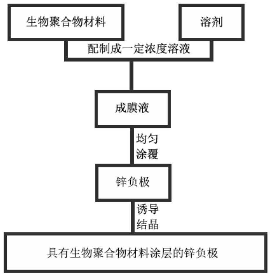 Electrode with biopolymer coating and preparation method thereof