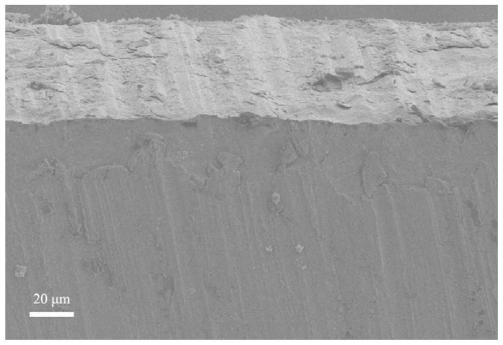 Electrode with biopolymer coating and preparation method thereof