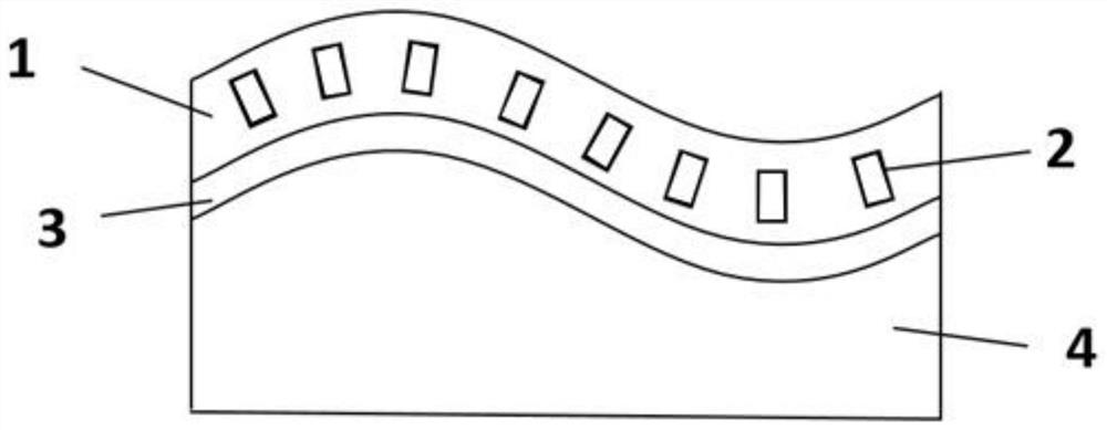 Flexible speed measuring device for Doppler ultrasonic detection and application of flexible speed measuring device