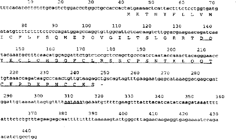 Mouse beta-alexin 1 recombinant plasmids, polypeptides, uses and preparations thereof