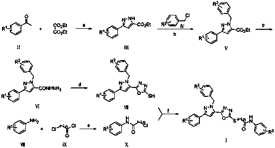 Medicament of 1,3,4-oxadiazole containing pyrazole compound prepared for treating tumor