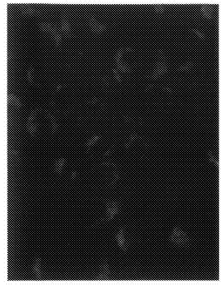 Autophagy and phospholipidosis pathway assays