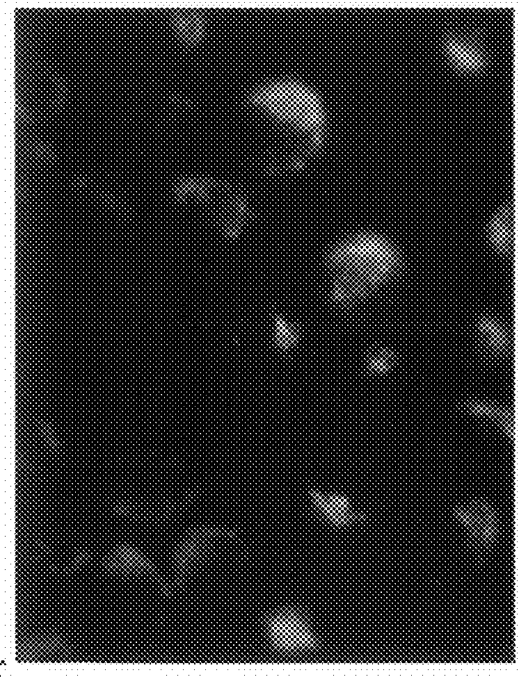 Autophagy and phospholipidosis pathway assays