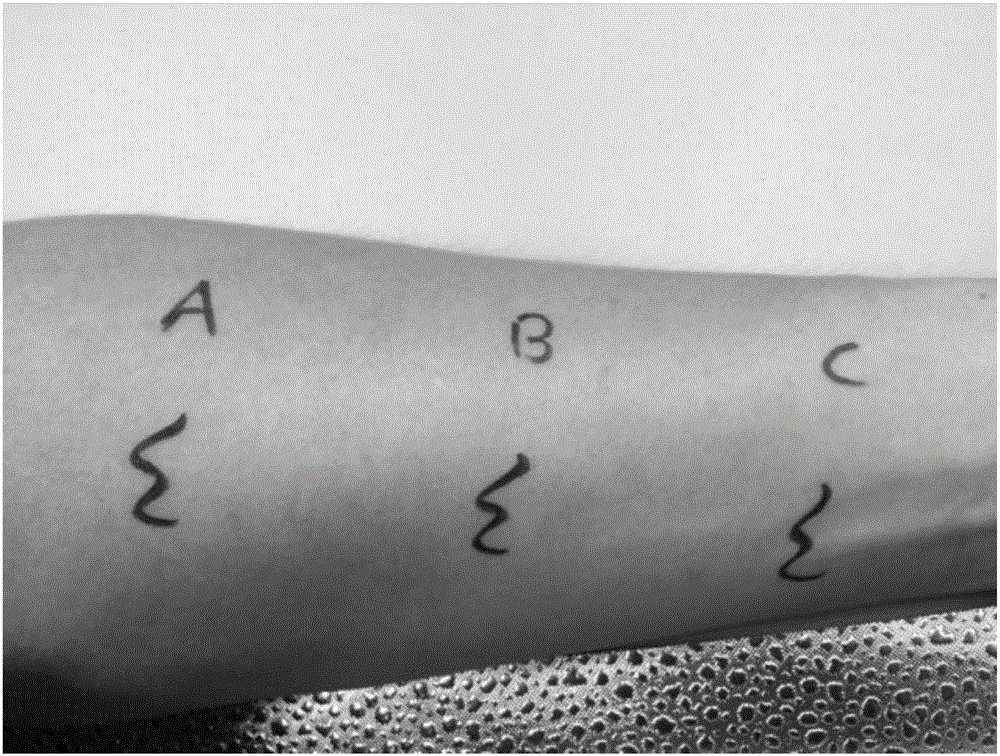 Cleansing lotion and preparation method thereof