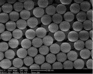 Preparation method for titanium dioxide nano particle fluorescence probe for detection DDT