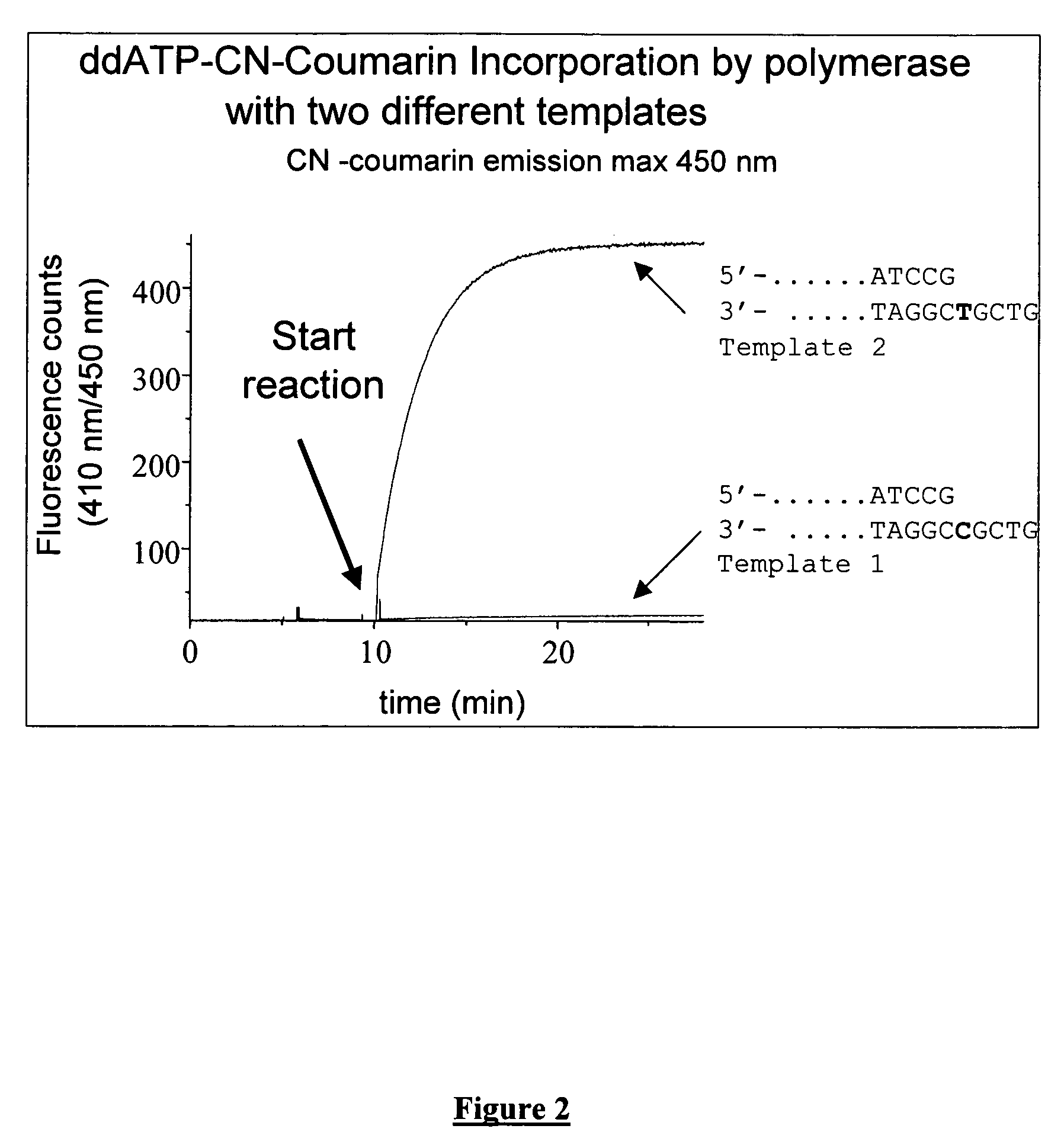 Terminal-phosphate-labeled nucleotides with new linkers