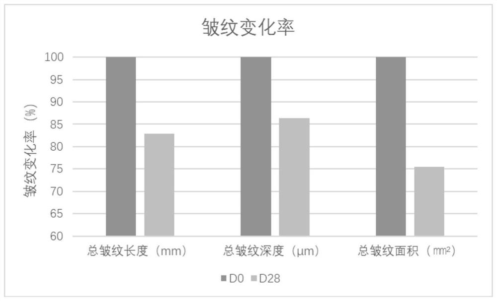 Composition with anti-aging and moisturizing effects as well as preparation method and application thereof