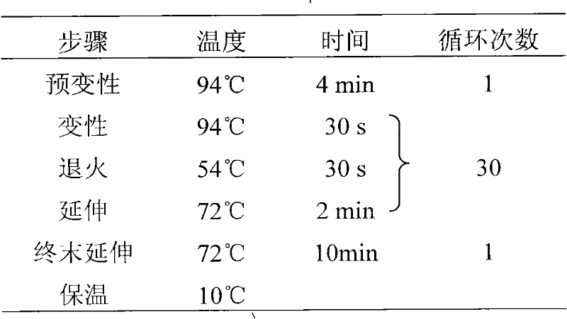 Preparation method of citicoline