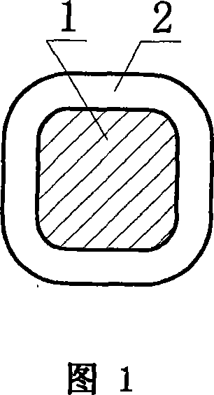 Surface modified coat of bracket of blood vessel, and preparation method