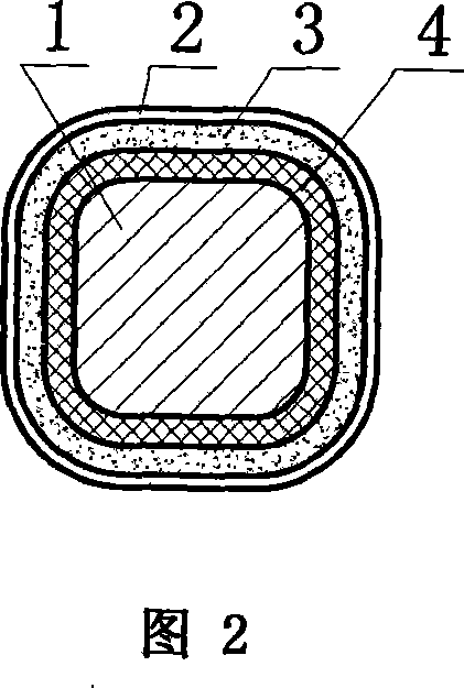 Surface modified coat of bracket of blood vessel, and preparation method