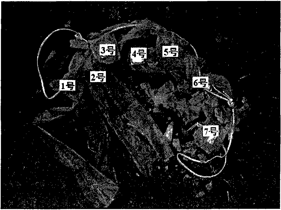 Plastic degrading composition, use of same and plastic and product containing same