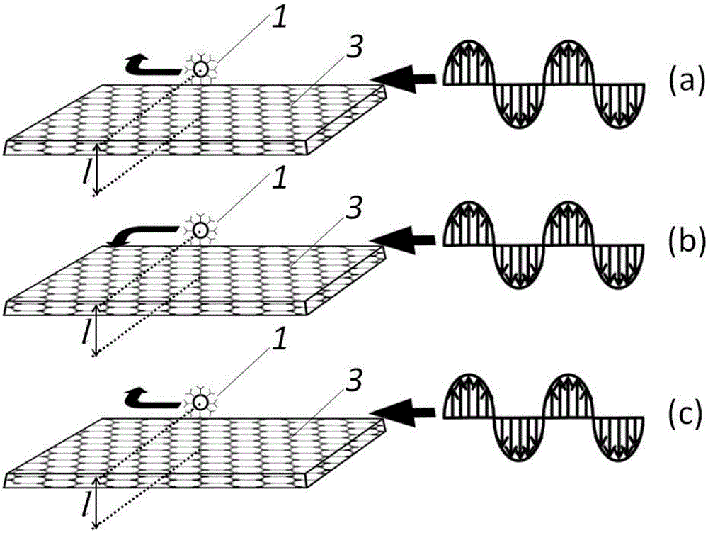 Tunable capturing and screening method for particles on graphene substrate by means of linear polarization planar optical wave