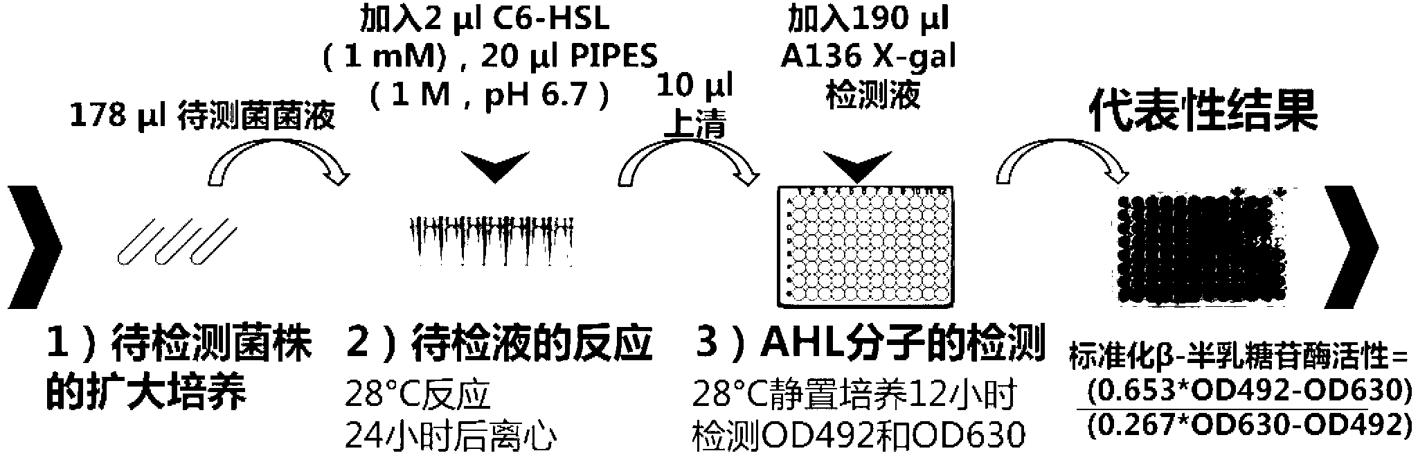 Method for detecting quorum sensing quenching bacterial strain