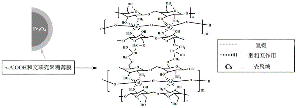 A kind of chitosan-mimetic thin aluminum doped magnetic adsorbent and preparation method thereof