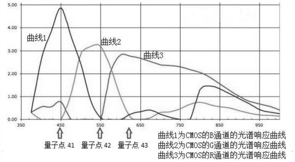 Biological detection method and device based on mobile phone