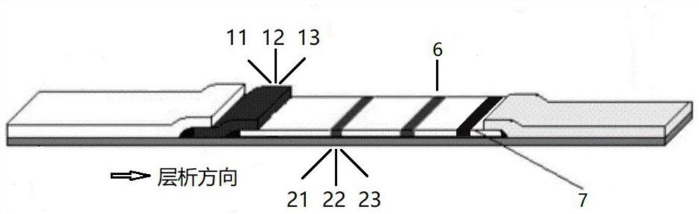 Biological detection method and device based on mobile phone