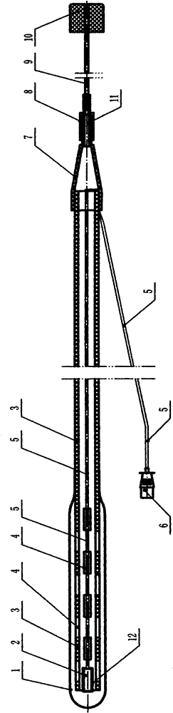 A kind of heart and lung auscultation and temperature probe